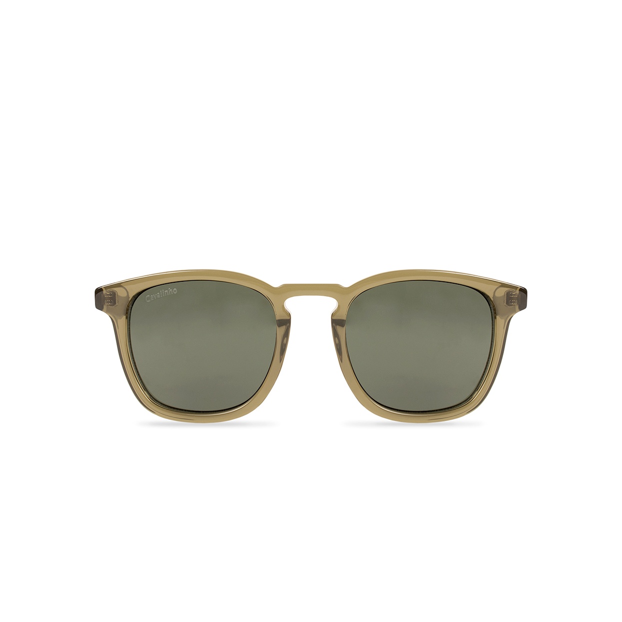 503026 C1 – OLIVE/09