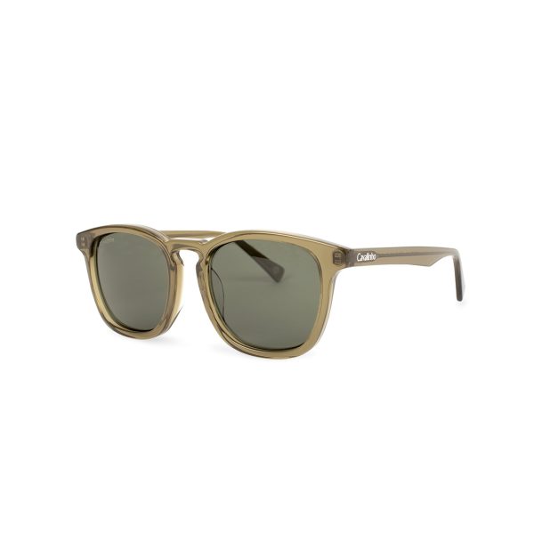 503026 C1 - Olive/09