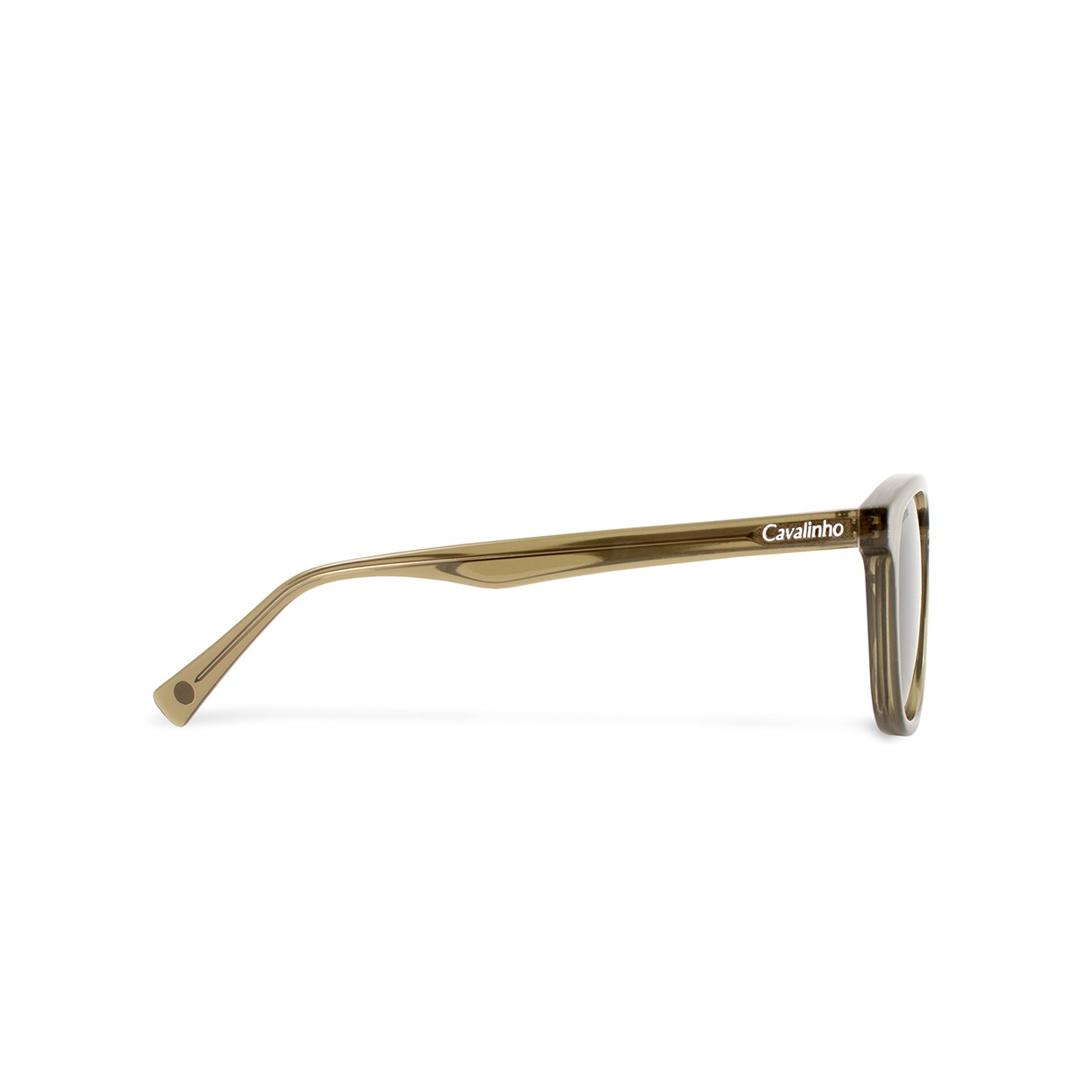 503026 C1 – OLIVE/09